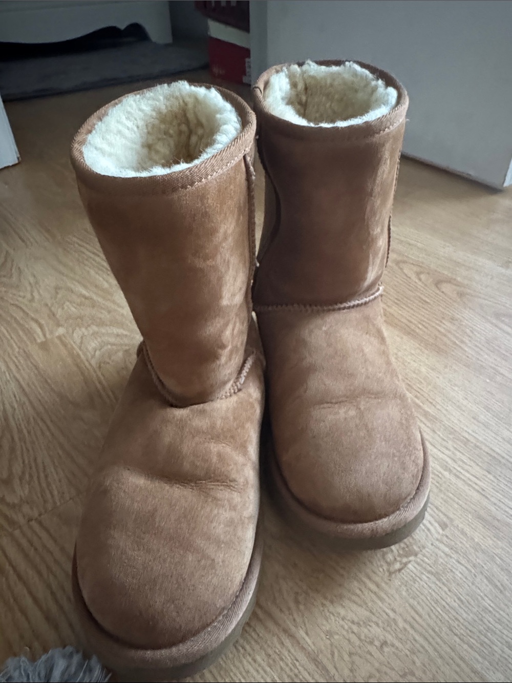 Women's UGG Boots